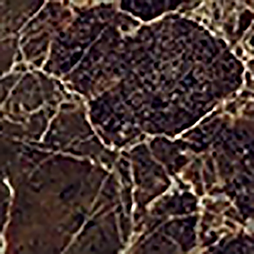 Taco Marmol Pulido (из натурального мрамора)