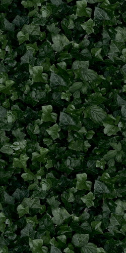 41zero42 PAPER41 PRO JANE E