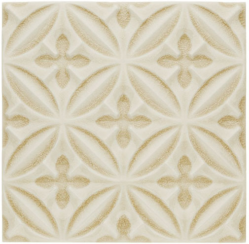 Relieve Caspian Sand Dollar