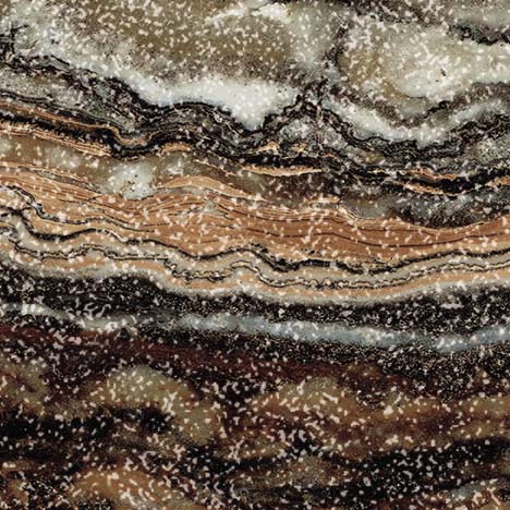 Jurassic Bottone Polished / Джурэйсик Вставка Лап