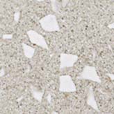 Вставка Terrazzo Pearl Angolo Lapp Лаппатированная