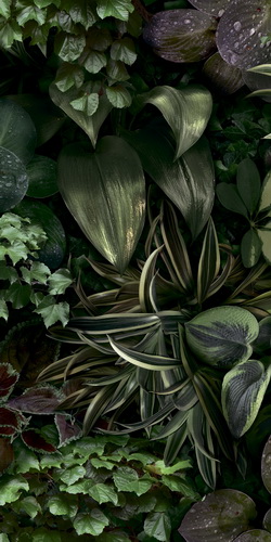 41zero42 PAPER41 PRO JANE B