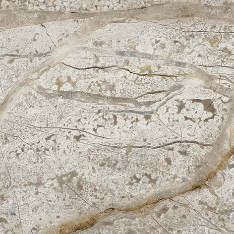 Silver Root Bottone / Силвер Рут Вставка