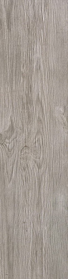 ATLAS CONCORDE AXI Silver Fir