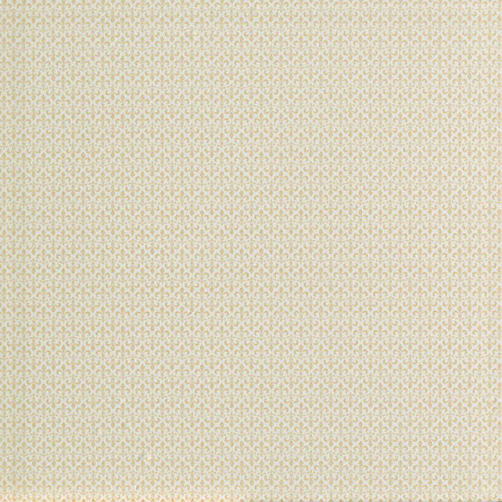 Avorio / Аворио