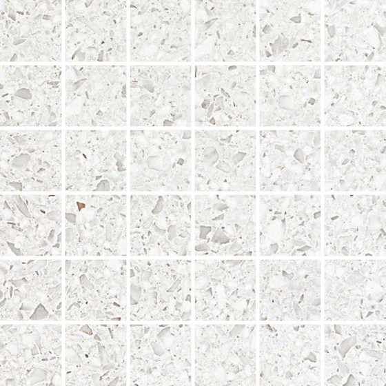 Terrazzo White Mosaico Lappato Лаппатированная
