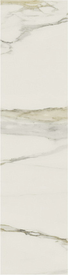 Calacatta Gold Матовый
