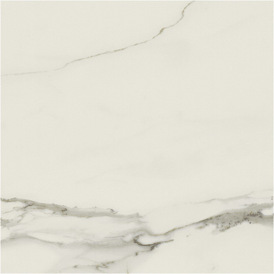 Calacatta Gold Матовый