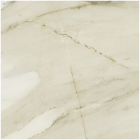 REX CERAMICHE I CLASSICI DI REX Calacatta Gold Матовый