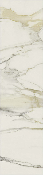 Calacatta Gold Glossy Полированный