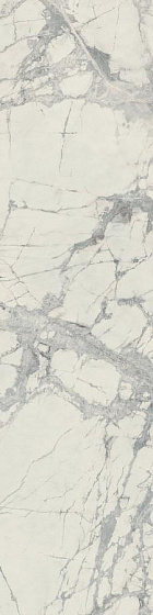 Mountain Treasure Matt