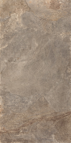 RONDINE ARDESIE Taupe