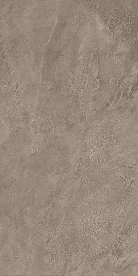 Grey Lapp / Грей Лапп