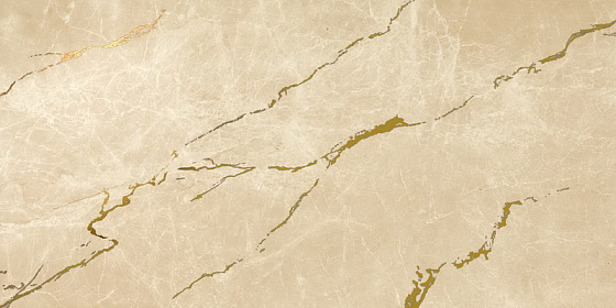 Elegant Sable Gold Vein 1