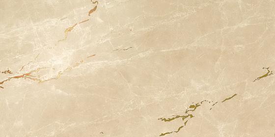 Elegant Sable Gold Vein 2