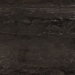 ATLAS CONCORDE MARVEL EDGE Absolute Brown Matt