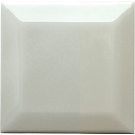 ADEX NERI Biselado PB Silver Mist