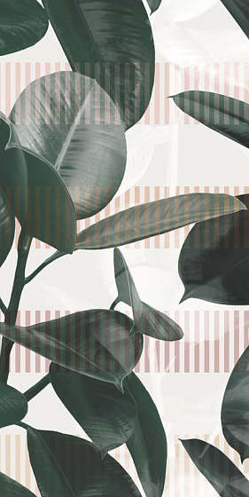 OLIVIA (2 варианта паттерна)