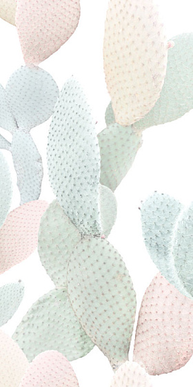 MARCELA (2 варианта паттерна)