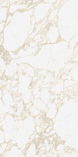 41zero42 PULP Gold Raw