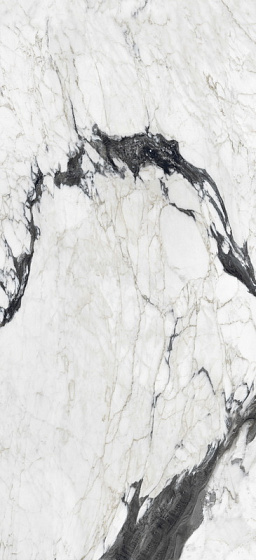 Calacatta Altissimo Blanc Matt