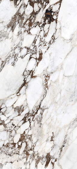 Breche Capraia Gloss