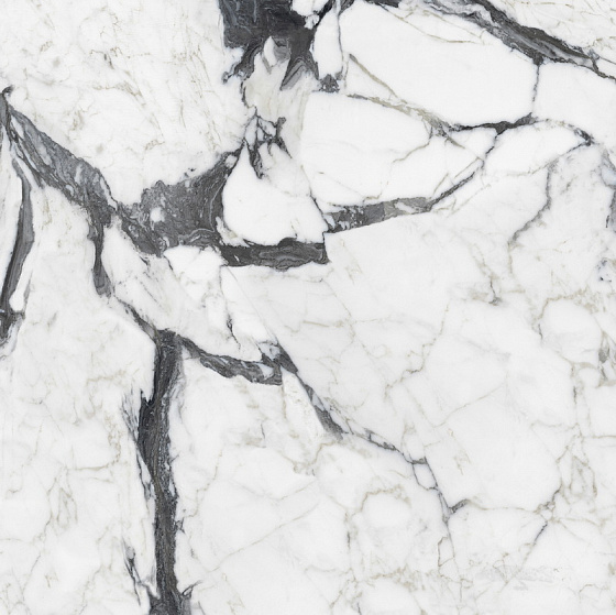 Calacatta Altissimo Blanc Matt