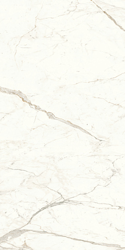 ATLAS CONCORDE MARVEL SHINE Calacatta Prestigio Polished