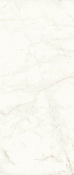 Calacatta Delicato Polished