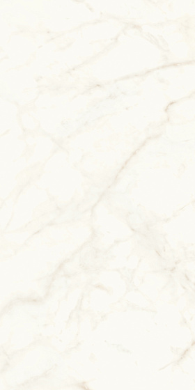 Calacatta Delicato Polished