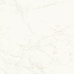 ATLAS CONCORDE MARVEL SHINE Calacatta Delicato Matte
