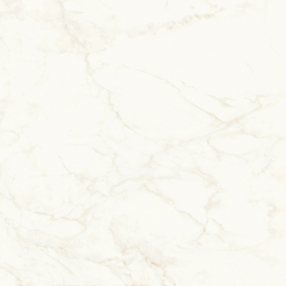 Calacatta Delicato Matte