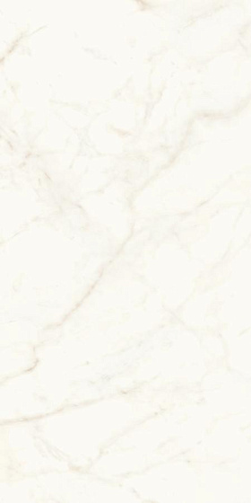 Calacatta Delicato Polished