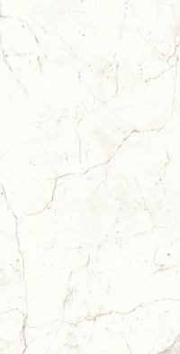 ATLAS CONCORDE MARVEL SHINE Calacatta Prestigio Polished