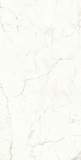 Calacatta Prestigio Polished