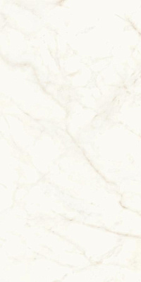 ATLAS CONCORDE MARVEL SHINE Calacatta Delicato Silk