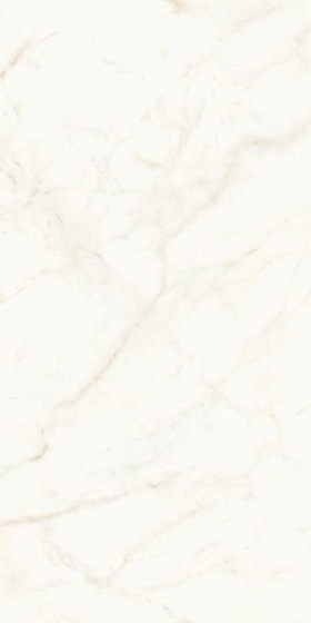 Calacatta Delicato Polished
