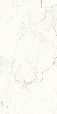 ATLAS CONCORDE MARVEL SHINE Calacatta Prestigio Polished