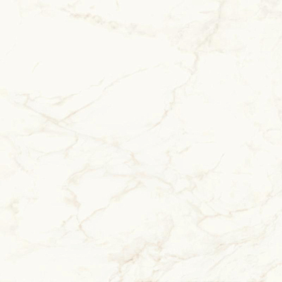 Calacatta Delicato Polished