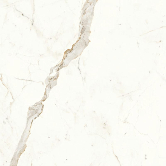 Calacatta Prestigio Polished