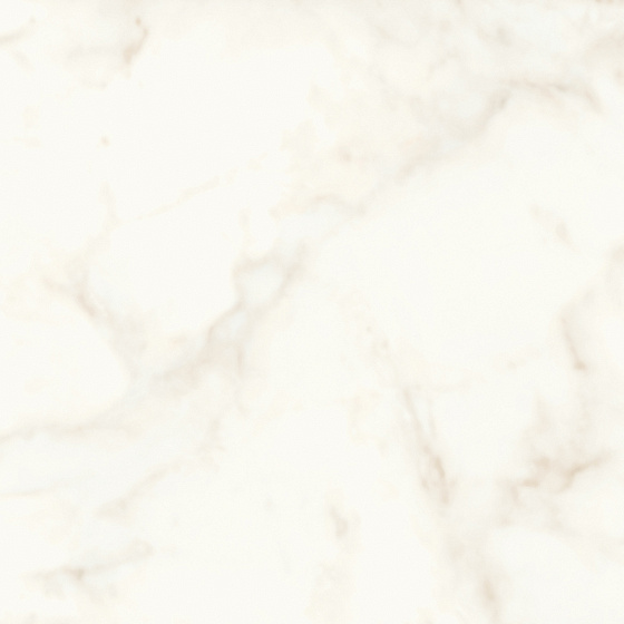 Calacatta Delicato Silk