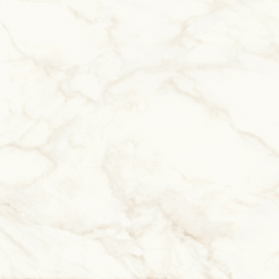 Calacatta Delicato Polished
