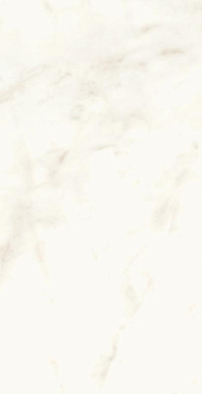 Calacatta Delicato Polished