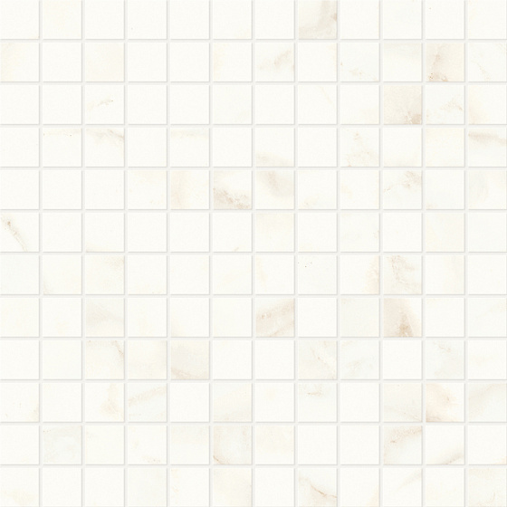 Calacatta Delicato Mosaico Polished