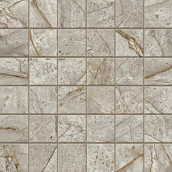 Empire Silver Root Mosaic Polished