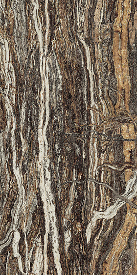 Epos Jurassic Polished