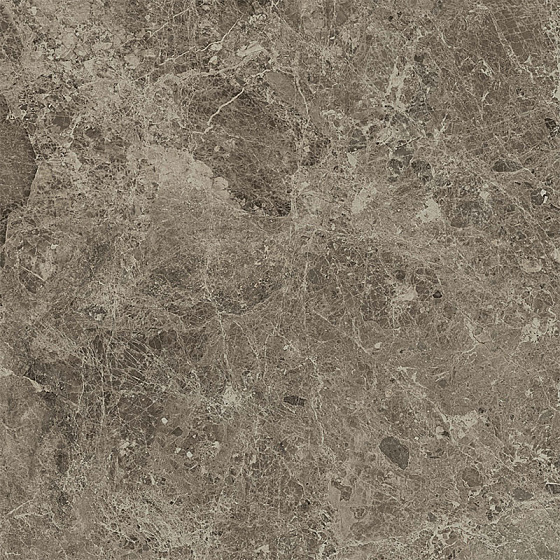 Taupe Lap 60 / Таупэ Лап 60