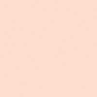 41zero42 PIXEL41 Rose АКЦИЯ