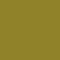 41zero42 PIXEL41 Khaki АКЦИЯ