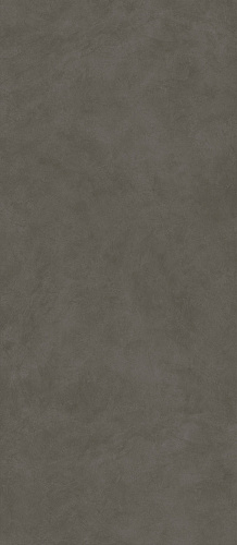 ATLAS CONCORDE BOOST NATURAL Coal